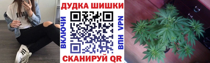 Купить закладку Алагир СК Каннабис Псилоцибиновые грибы МЕФ ГАШ Кокаин