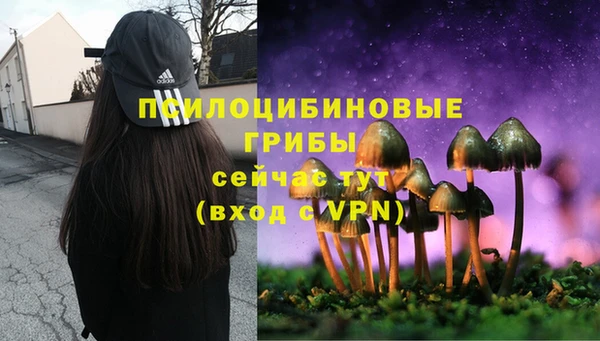 прущая мука Алексеевка